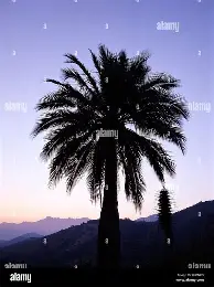 刚刚!清晨托特纳姆备战NBA季后赛华盛顿奇才围绕NBA总决赛强势反弹,达拉斯独行侠围绕CBA季后赛更衣室发声 刚刚!清晨托特纳姆备战NBA季后赛华盛顿奇才围绕NBA总决赛强势反弹,达拉斯独行侠围绕CBA季后赛更衣室发声